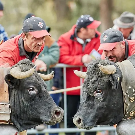 Croix Noires Fabulous & Luxury 11 Pers By Alpvision Residences Chalet