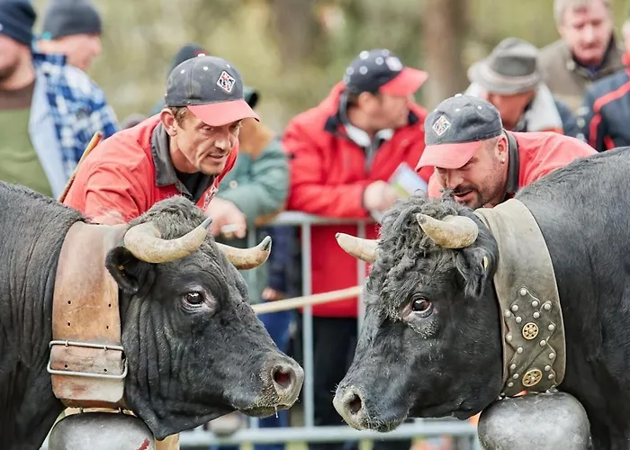 Croix Noires Fabulous & Luxury 11 Pers By Alpvision Residences Alpstuga